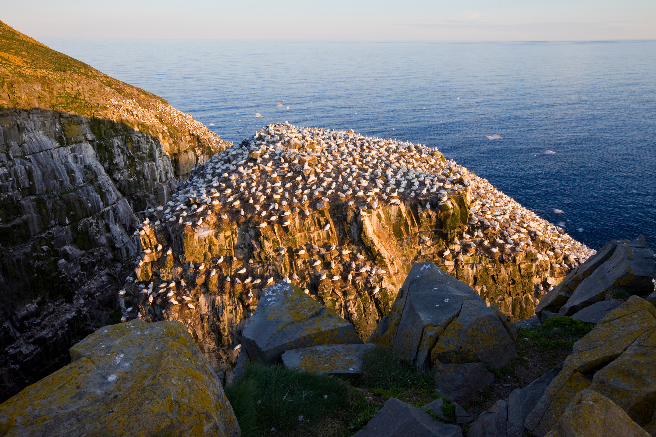 Newfoundland and Labrador, Canada